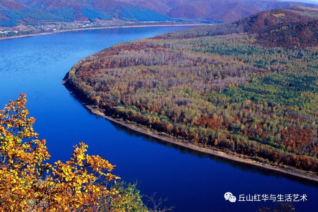 黑龙江黑科技盛宴，新锐科技产品闪耀登场！