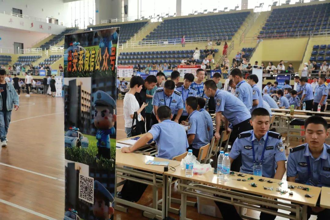 陕西，地域文化的独特魅力与深度解读